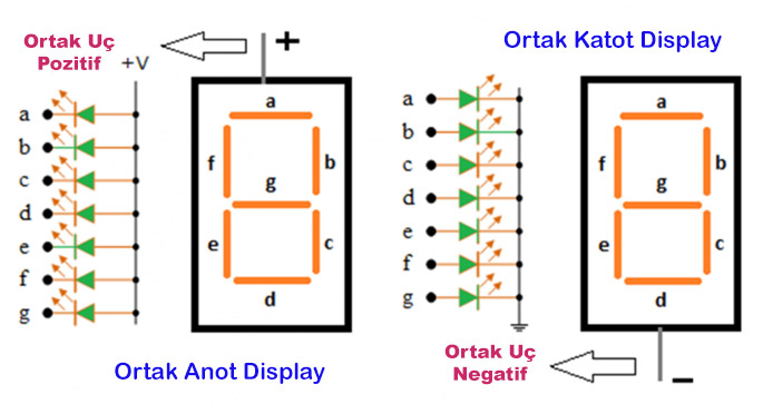 7 Segment Display 0-9 Sayıcı önizlemesi